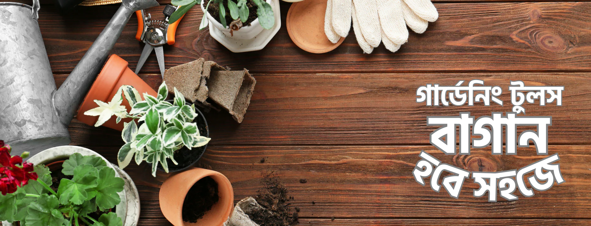 Welcome to Our Store